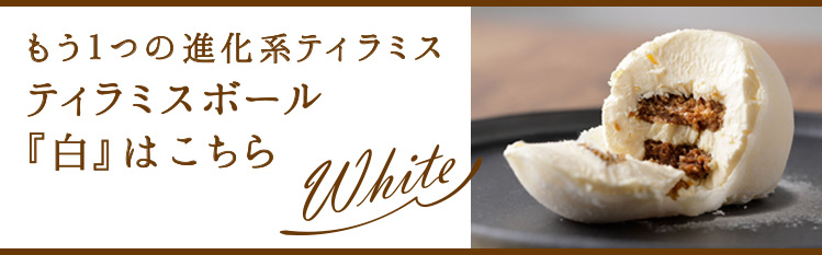 もう１つの進化系ティラミス