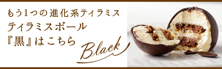 もう１つの進化系ティラミス