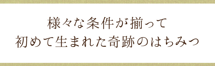 様々な条件が揃って初めて生まれた奇跡のはちみつ
