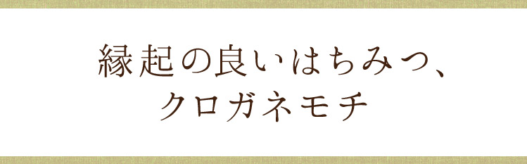 縁起の良いはちみつ、クロガネモチ