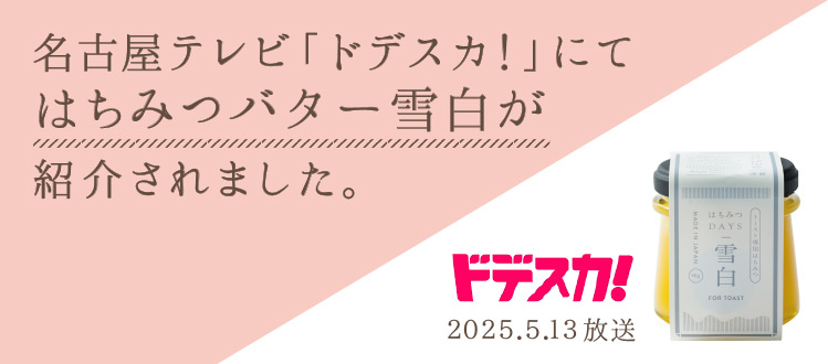 ドデスカで紹介されました