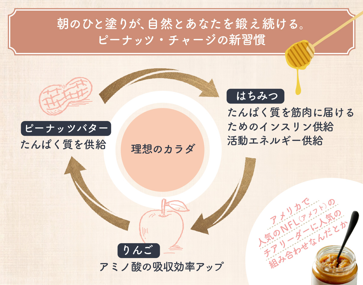 体内のメカニズムの図