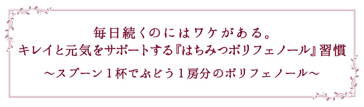 「毎日続くのにはワケがある。」