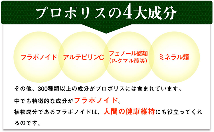 プロポリスの4大成分
