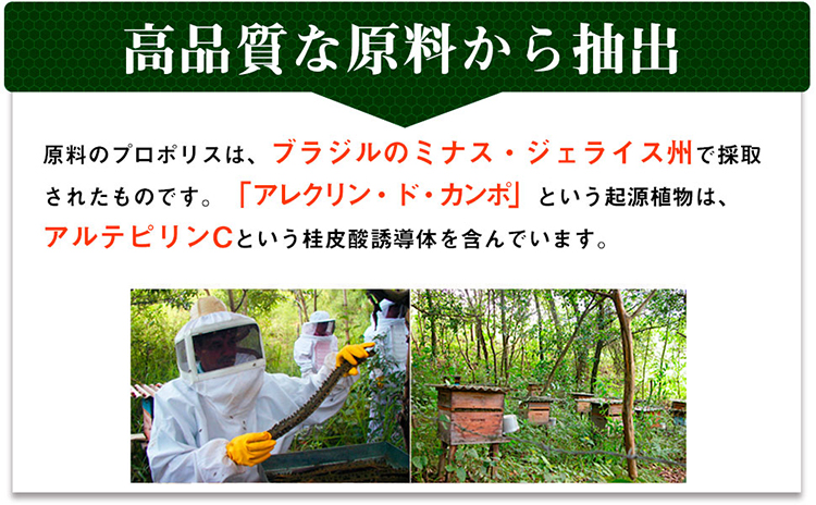 ブラジス　ミナス・ジェライス州で採取されたグリーンプロポリスを原料にしています。